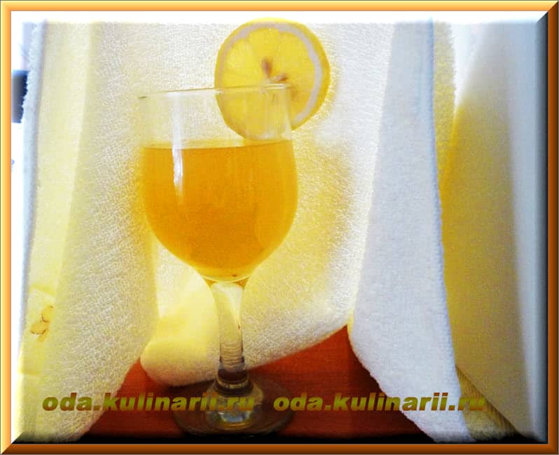 Домашний лимонад Цитрусовая гармония