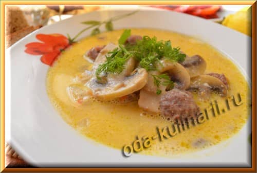 фото рецепт сырного супа с грибами и фрикадельками из говядины